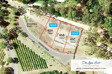 65 Stonyfell Rd, Stonyfell, SA 5066