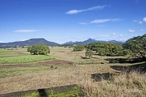 Property photo of 88 Riverview Street Murwillumbah NSW 2484