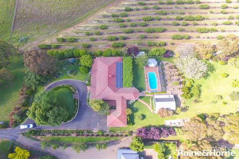 95 Back Creek Rd, Young, NSW 2594