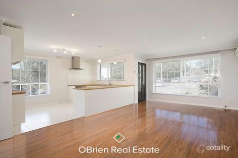 Property photo of 1/145 Park Road Cheltenham VIC 3192