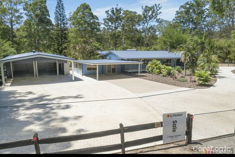 Property photo of 36 Grey Gum Crescent Yarravel NSW 2440