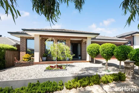 16 Friesian Dr, Sunbury, VIC 3429