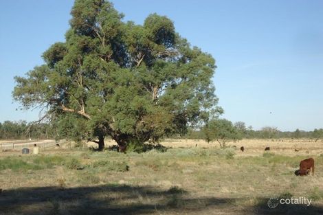 1411 Pental Island Rd, Pental Island, VIC 3586