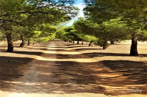 265 Chaplin Rd, Tutye, VIC 3490