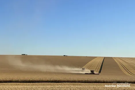 533 Yandanooka West Rd, Arrino, WA 6519