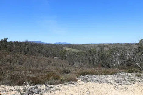 307 Quilty Rd, Wog Wog, NSW 2622