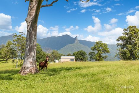 77 Back Creek Rd, Back Creek, NSW 2484