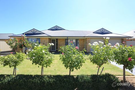 Property photo of 5 Ngadjuri Street Nuriootpa SA 5355