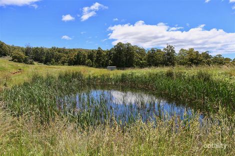 146 Paloona Rd, Paloona, TAS 7310