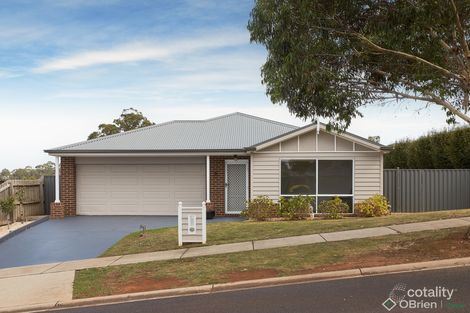 Property photo of 21 Skipton Street Drouin VIC 3818