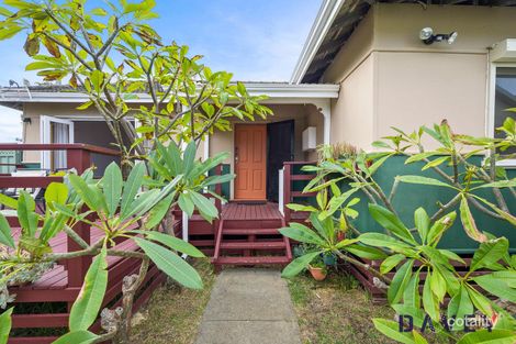 114 Hancock St, Doubleview, WA 6018
