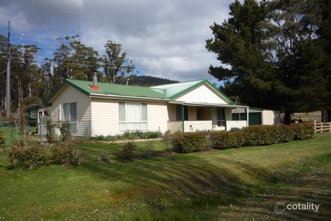Property photo of 39275 Tasman Highway Nunamara TAS 7259