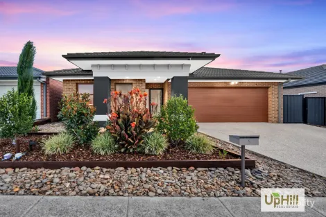 5 Haflinger Ave, Clyde North, VIC 3978