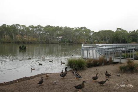 Property photo of 7 Reisling Road Wynn Vale SA 5127