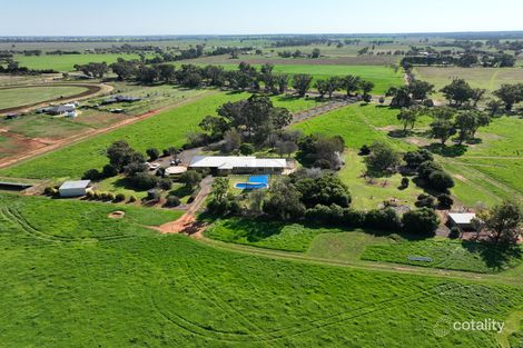 Property photo of 14L Dulcidene Road Terramungamine NSW 2830