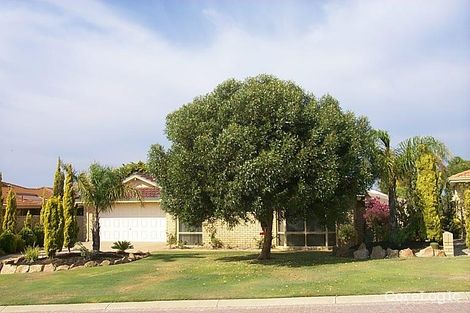 Property photo of 7 Rossiter Heights Hillarys WA 6025