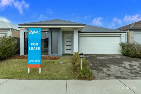 165 Gracefield Bvd, Harrisdale, WA 6112