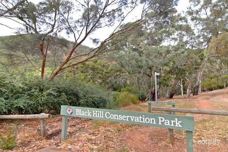 Property photo of 7A Joann Street Athelstone SA 5076