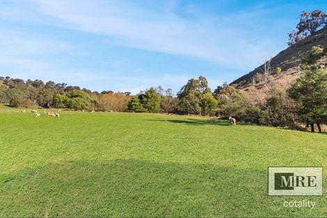Lot 38 Sawpit Gully Rd, Bridge Creek, VIC 3723