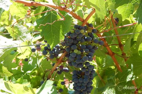 81 Montgomery Rd, Brookhampton, WA 6239