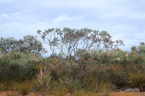 Property photo of 6 Seaview Way Hopetoun WA 6348