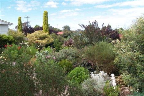 Property photo of 32 Glebe Avenue Bega NSW 2550