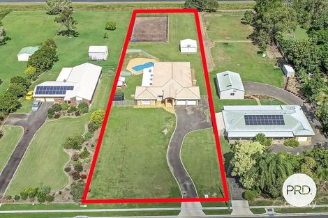 Property photo of 130 McCarthy Road Avenell Heights QLD 4670