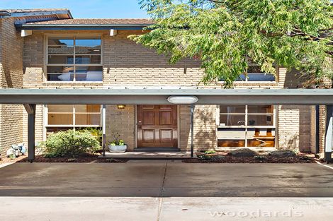 3/37-51 Foley St, Kew, VIC 3101