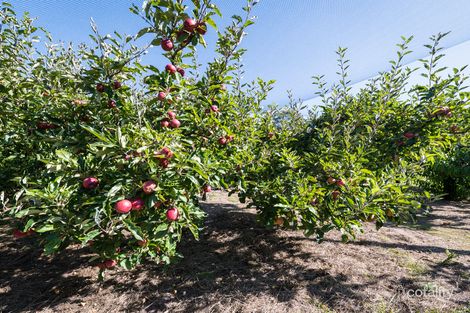 Property photo of 5 Mountain Road Allens Rivulet TAS 7150