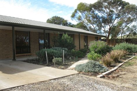 Property photo of 77 Hanson Street Freeling SA 5372