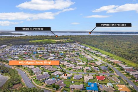 Property photo of 9 Eucalyptus Street Ningi QLD 4511
