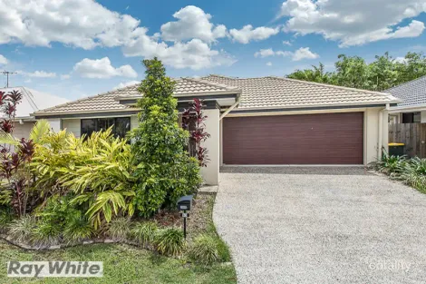 Property photo of 51 Dickson Crescent North Lakes QLD 4509