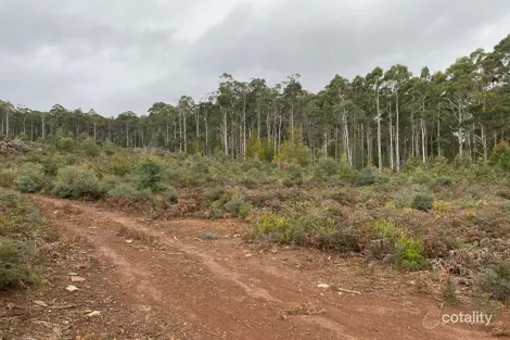 218 Farrells Rd, Reedy Marsh, TAS 7304