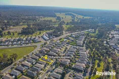 Property photo of 21 Pamela Avenue Jackass Flat VIC 3556