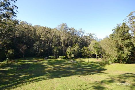 Property photo of 935 Illaroo Road Tapitallee NSW 2540