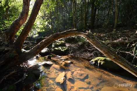 Property photo of 935 Illaroo Road Tapitallee NSW 2540