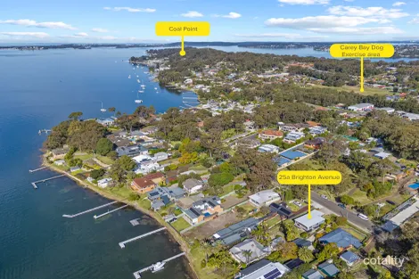 Property photo of 25A Brighton Avenue Toronto NSW 2283