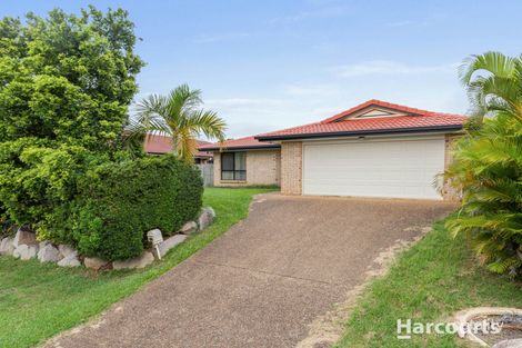 Property photo of 29 Raffindale Avenue Dakabin QLD 4503