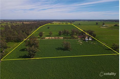 8308 Lachlan Valley Way, Forbes, NSW 2871