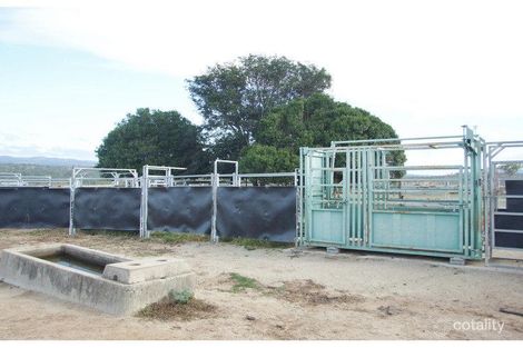 Property photo of 3789 Capricorn Highway Westwood QLD 4702