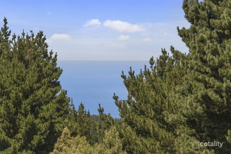 Property photo of 235 Blue Johanna Road Johanna VIC 3238