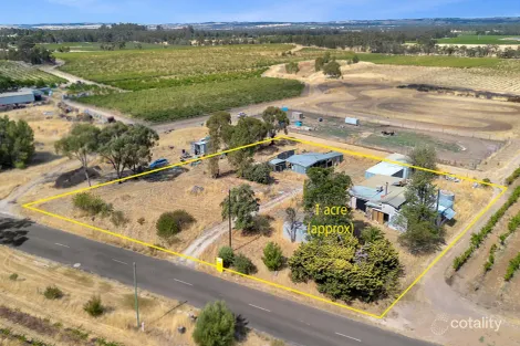 Property photo of 132 Moppa Road Nuriootpa SA 5355