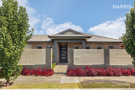 2a Macklin St, Edwardstown, SA 5039