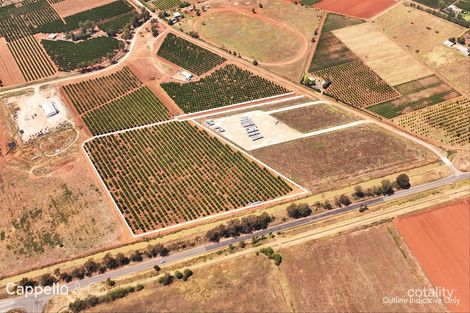 75 Morley Rd, Yoogali, NSW 2680