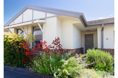 Property photo of 14/12 Denton Park Drive Rutherford NSW 2320