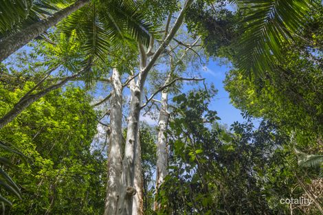 Property photo of 30 Alex Road Mount Glorious QLD 4520