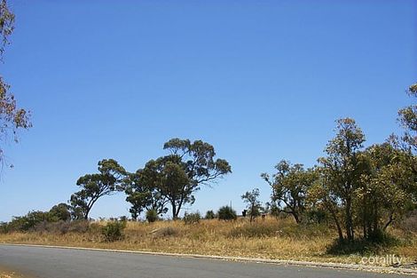 Lot 161 Blackwood Ave, Hamilton Hill, WA 6163