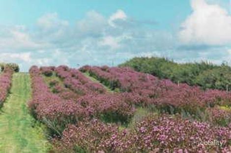 Lot 9 Placid Estates Rd, Wellington East, SA 5259