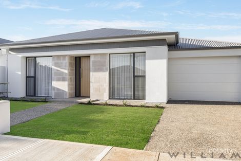 Property photo of 39 Bells Road Glengowrie SA 5044