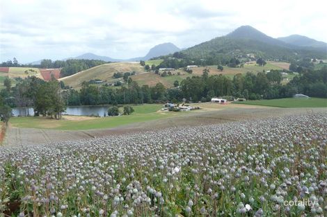 12060 Bass Hwy, Penguin, TAS 7316